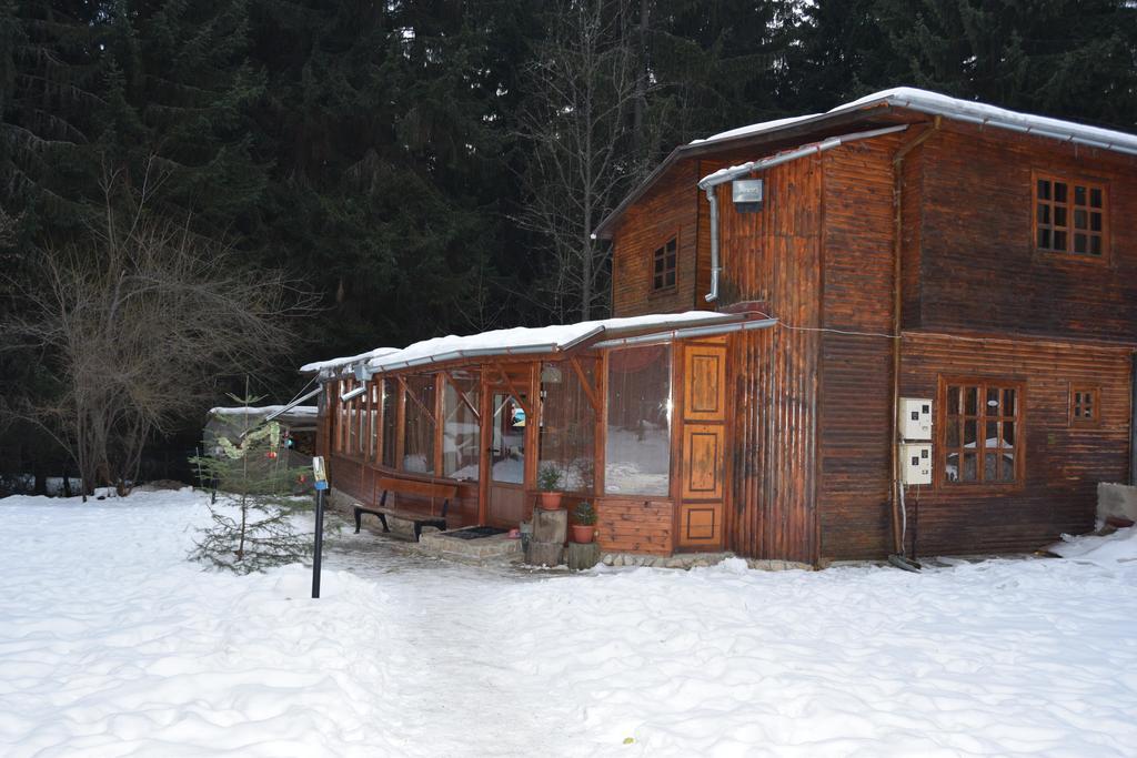 Persey Villa ボロヴェッツ エクステリア 写真