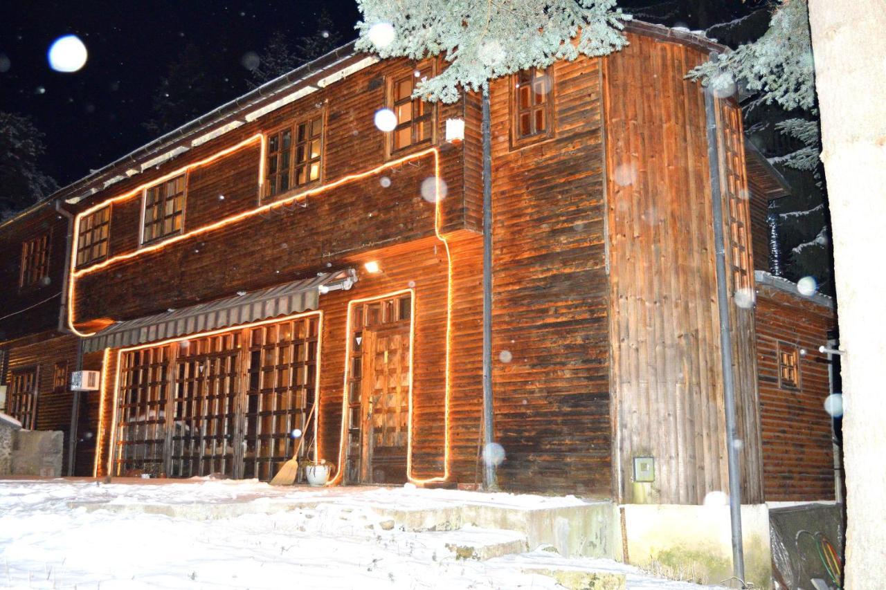 Persey Villa ボロヴェッツ エクステリア 写真